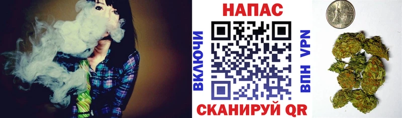 купить наркотик  KRAKEN   Бошки Шишки план  Томмот 
